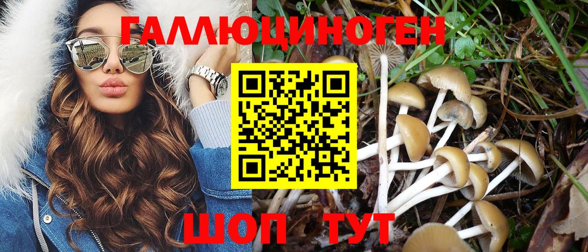 Галлюциногенные грибы Magic Shrooms  Псилоцибиновые грибы GOLDEN TEACHER  где купить   Вход с VPN  Новый Уренгой 